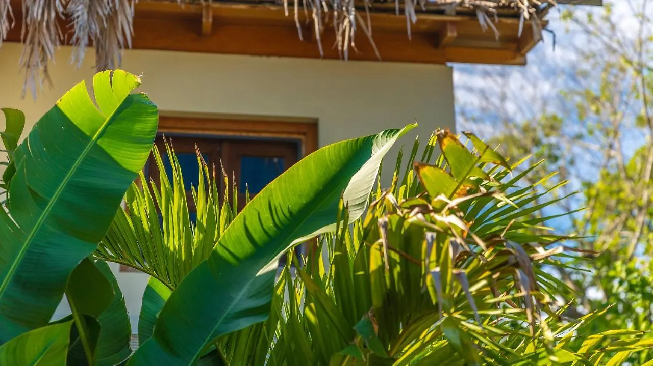 The Spa Retreat Boutique Hotel Negril