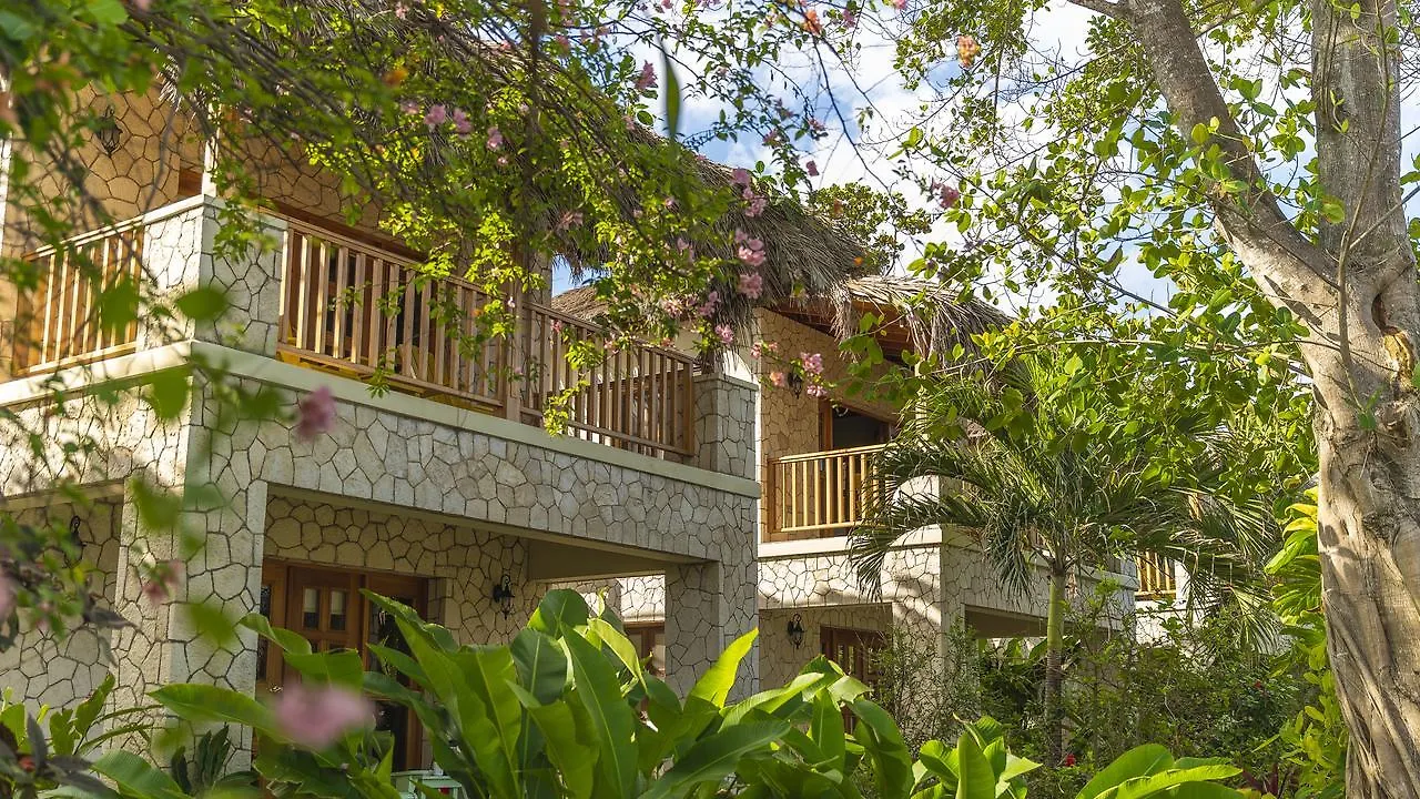 The Spa Retreat Boutique Hotel Negril