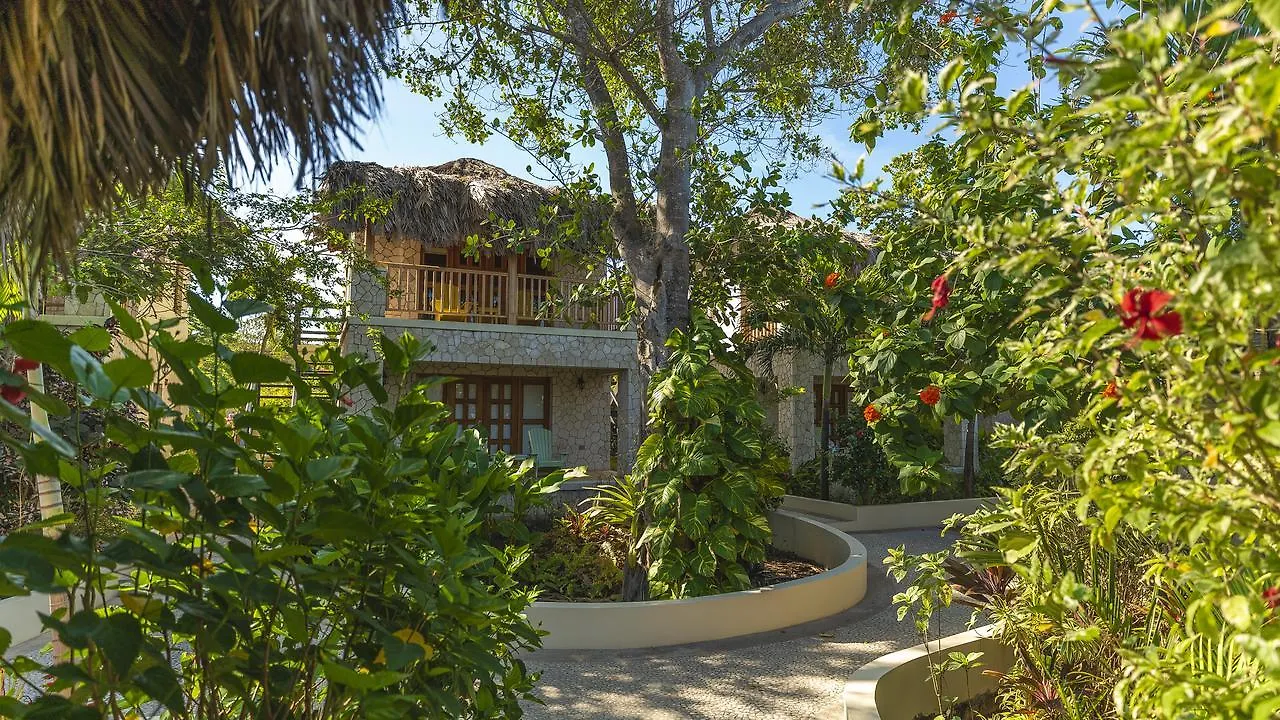 The Spa Retreat Boutique Hotel Negril