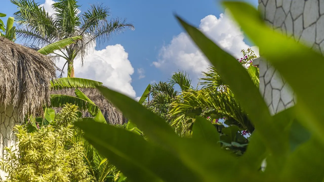 The Spa Retreat Boutique Hotel Negril