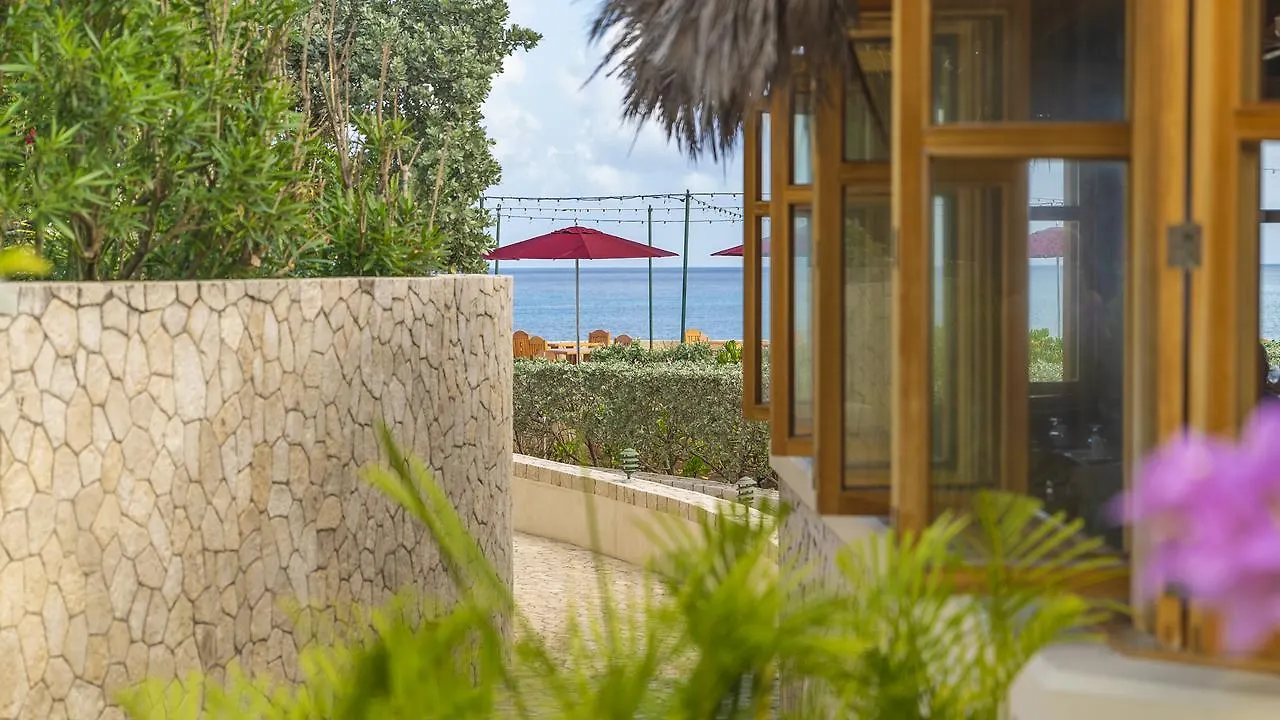 The Spa Retreat Boutique Hotel Negril