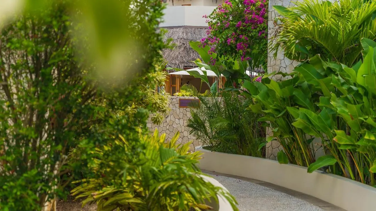 The Spa Retreat Boutique Hotel Negril